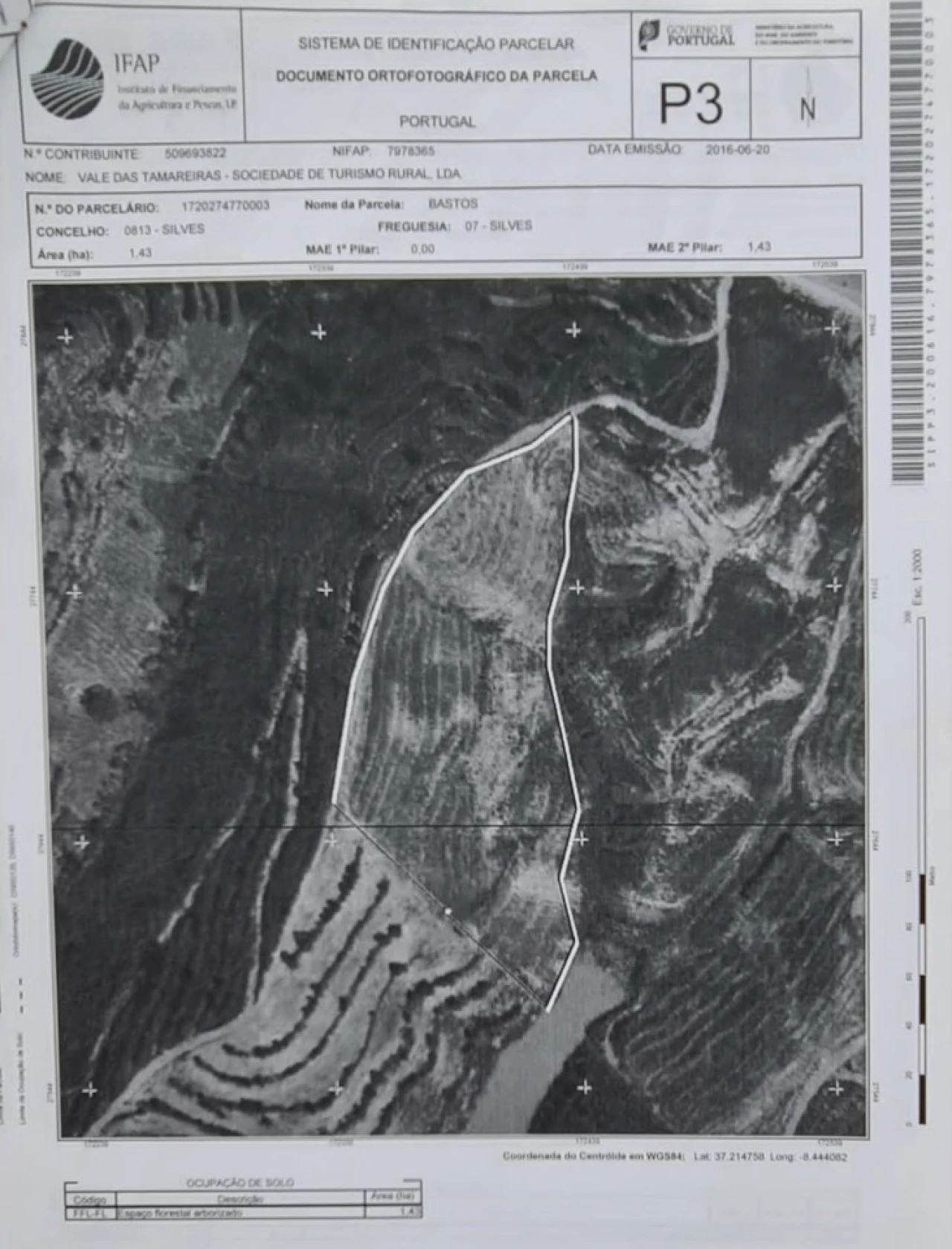 Quinta T3 para Venda em Silves Planta 2