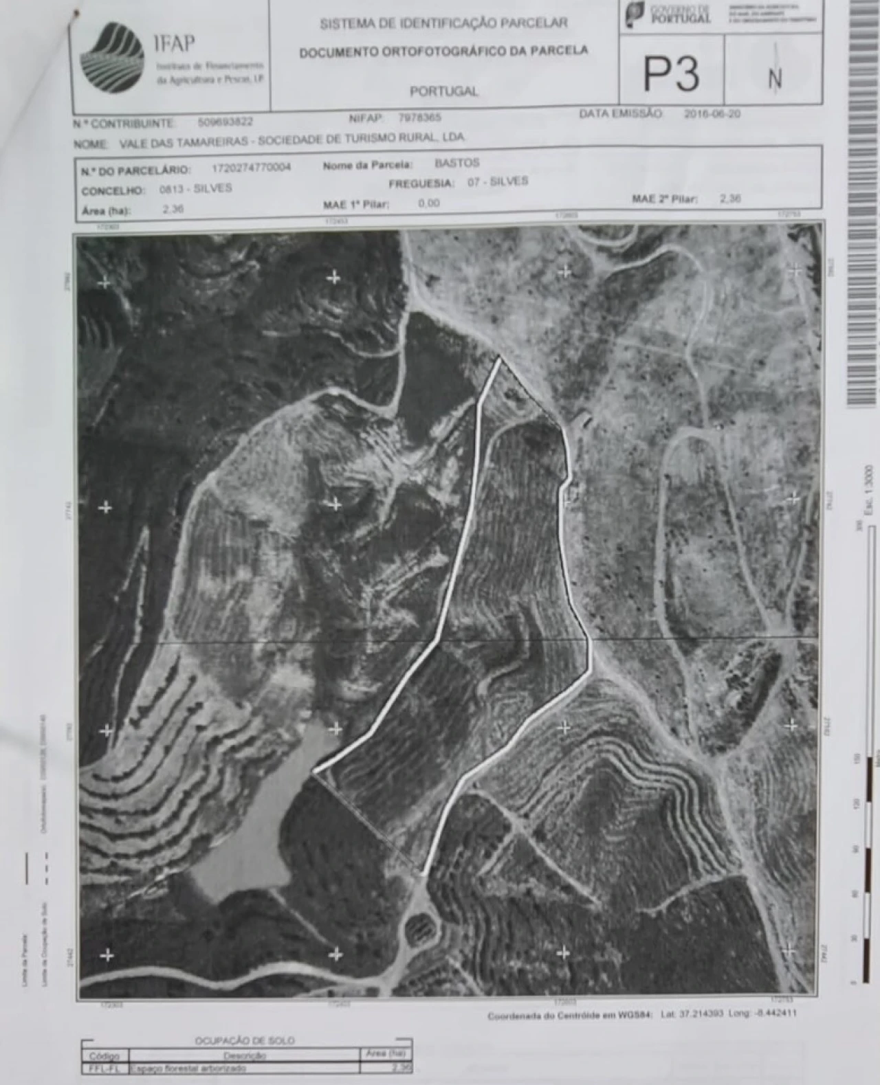 Quinta T3 para Venda em Silves Planta 3