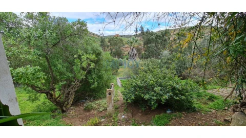 Quinta T3 para Venda em Silves