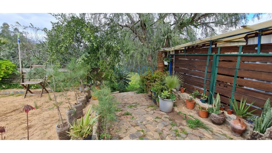 Quinta T3 para Venda em Silves Foto 29