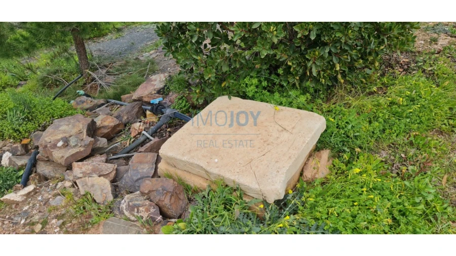 Quinta T3 para Venda em Silves Foto 40