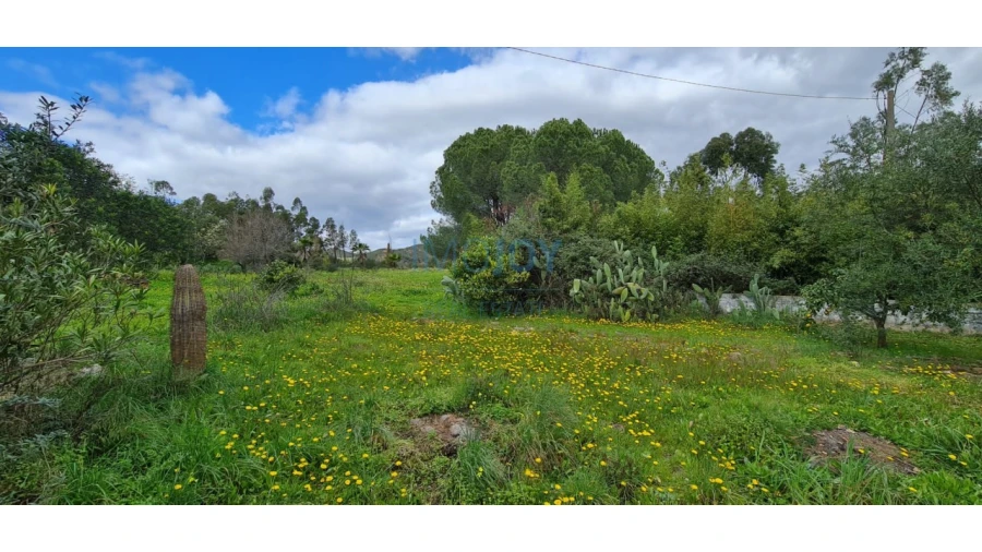 Quinta T3 para Venda em Silves Foto 47