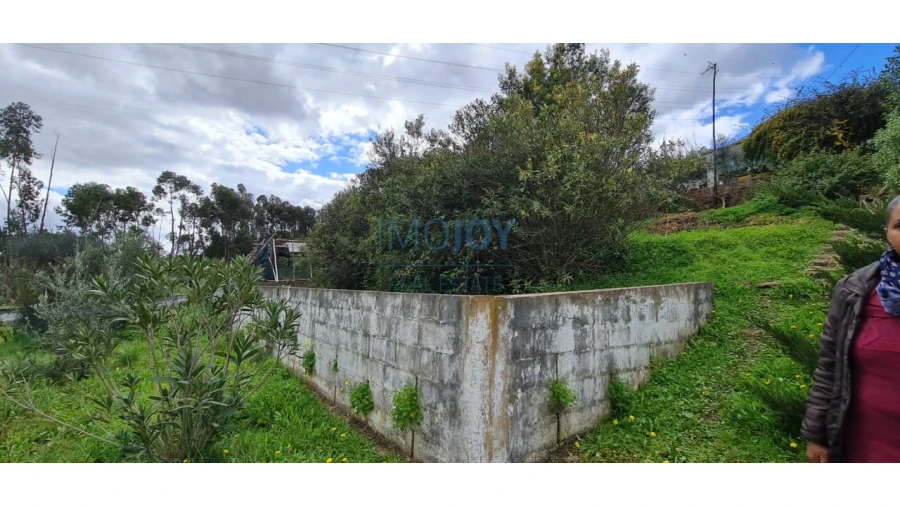 Quinta T3 para Venda em Silves Foto 48
