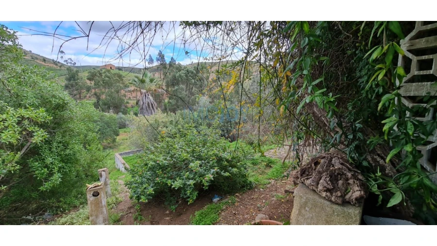 Quinta T3 para Venda em Silves Foto 49