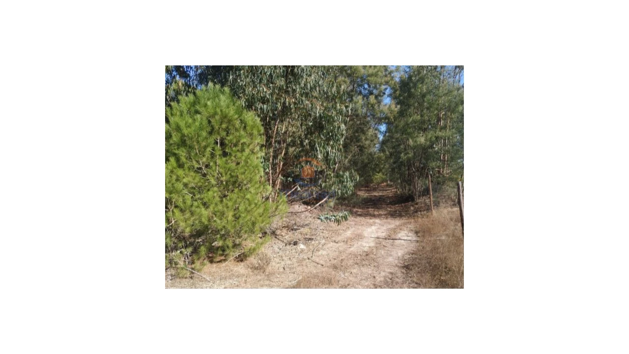 Terreno Agricola ou Rústico para Venda em Pegões Foto 4