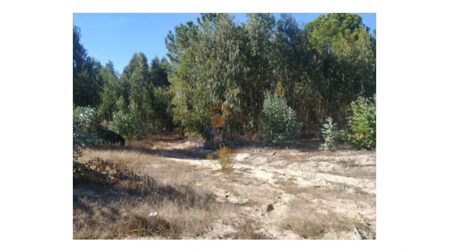 Terreno Agricola ou Rústico para Venda em Pegões Foto 2