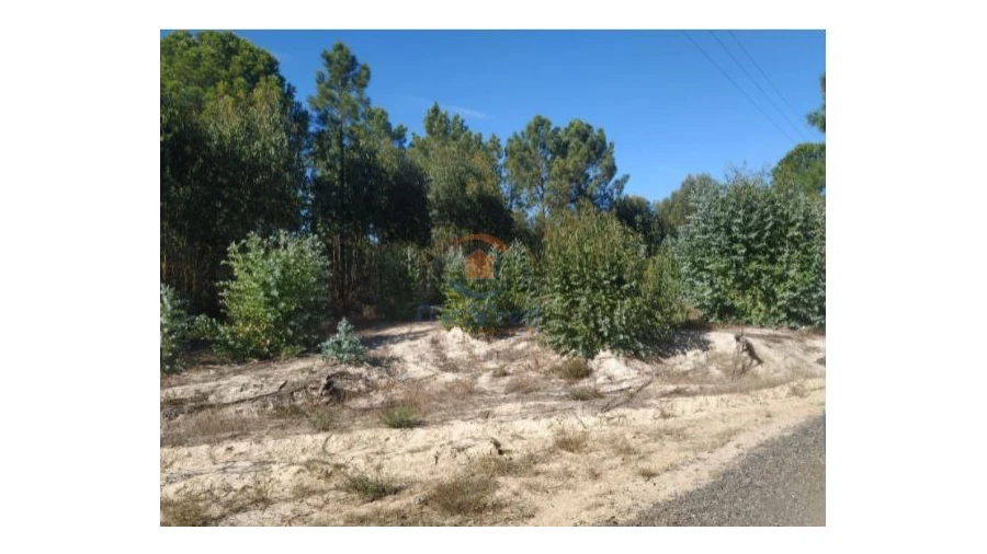 Terreno Agricola ou Rústico para Venda em Pegões