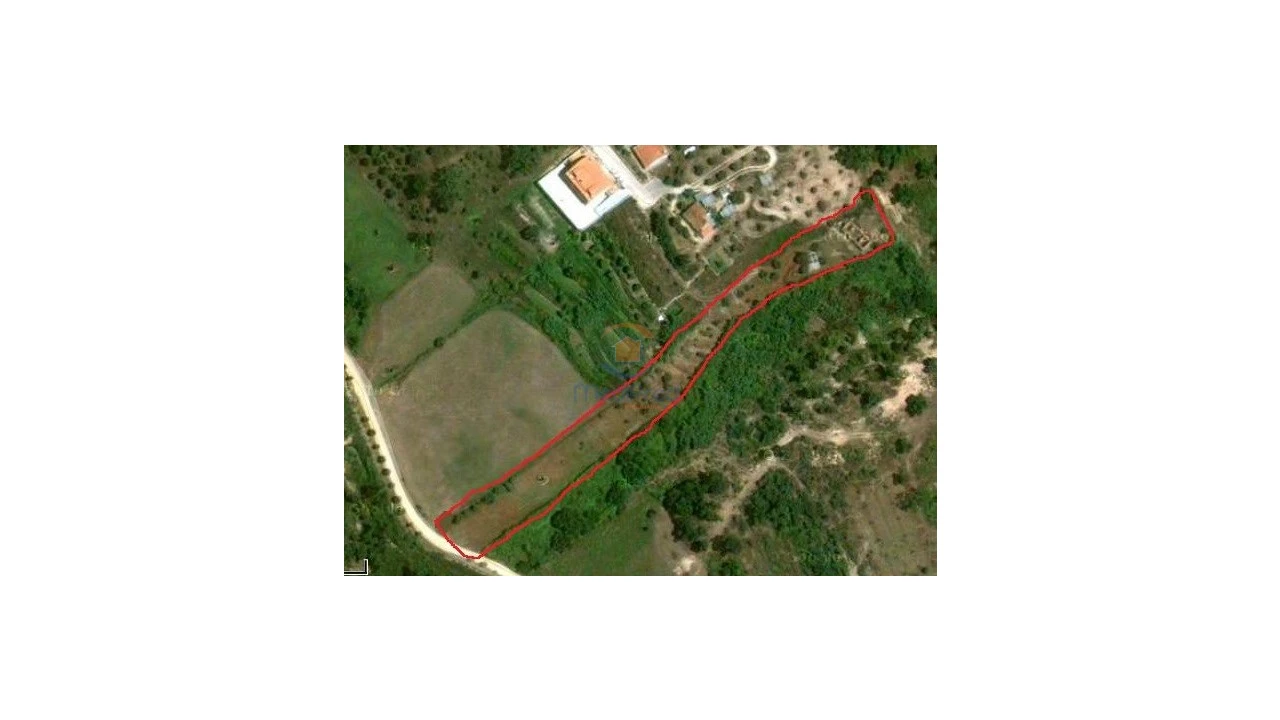 Terreno para Venda em Chamusca e Pinheiro Grande Foto 1