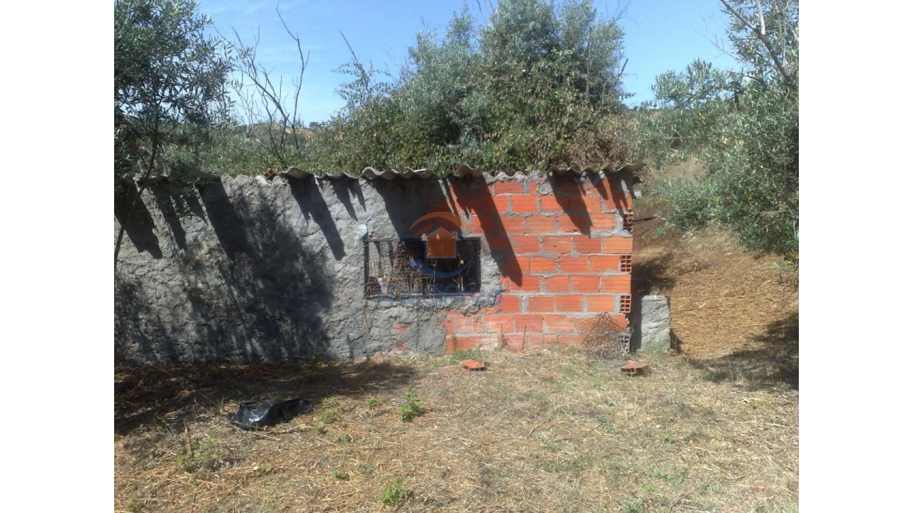 Terreno para Venda em Chamusca e Pinheiro Grande Foto 7