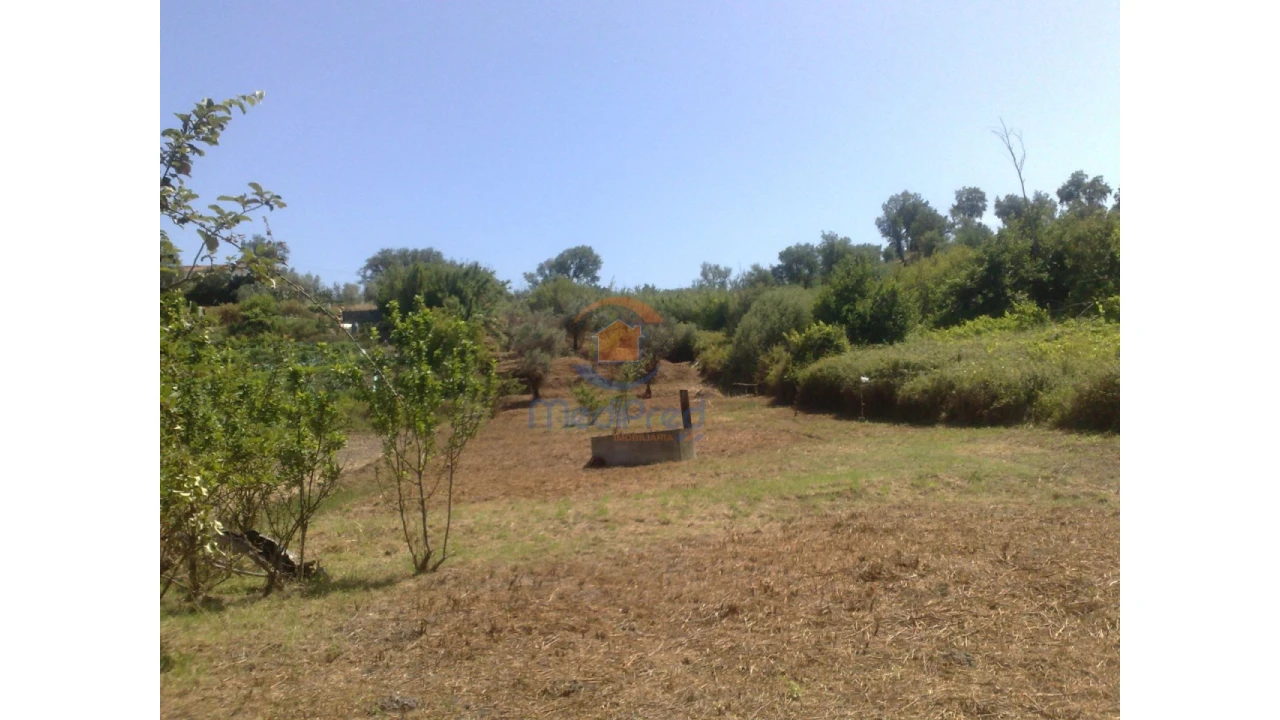 Terreno para Venda em Chamusca e Pinheiro Grande Foto 14