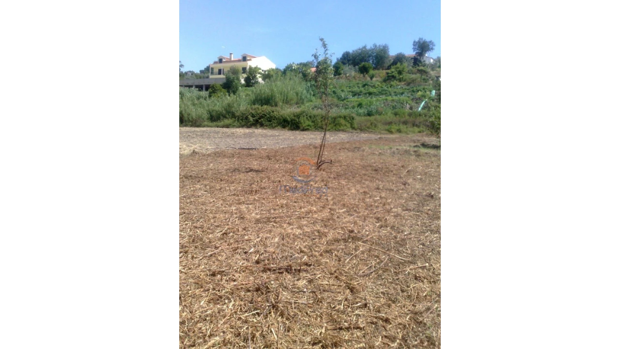Terreno para Venda em Chamusca e Pinheiro Grande Foto 15