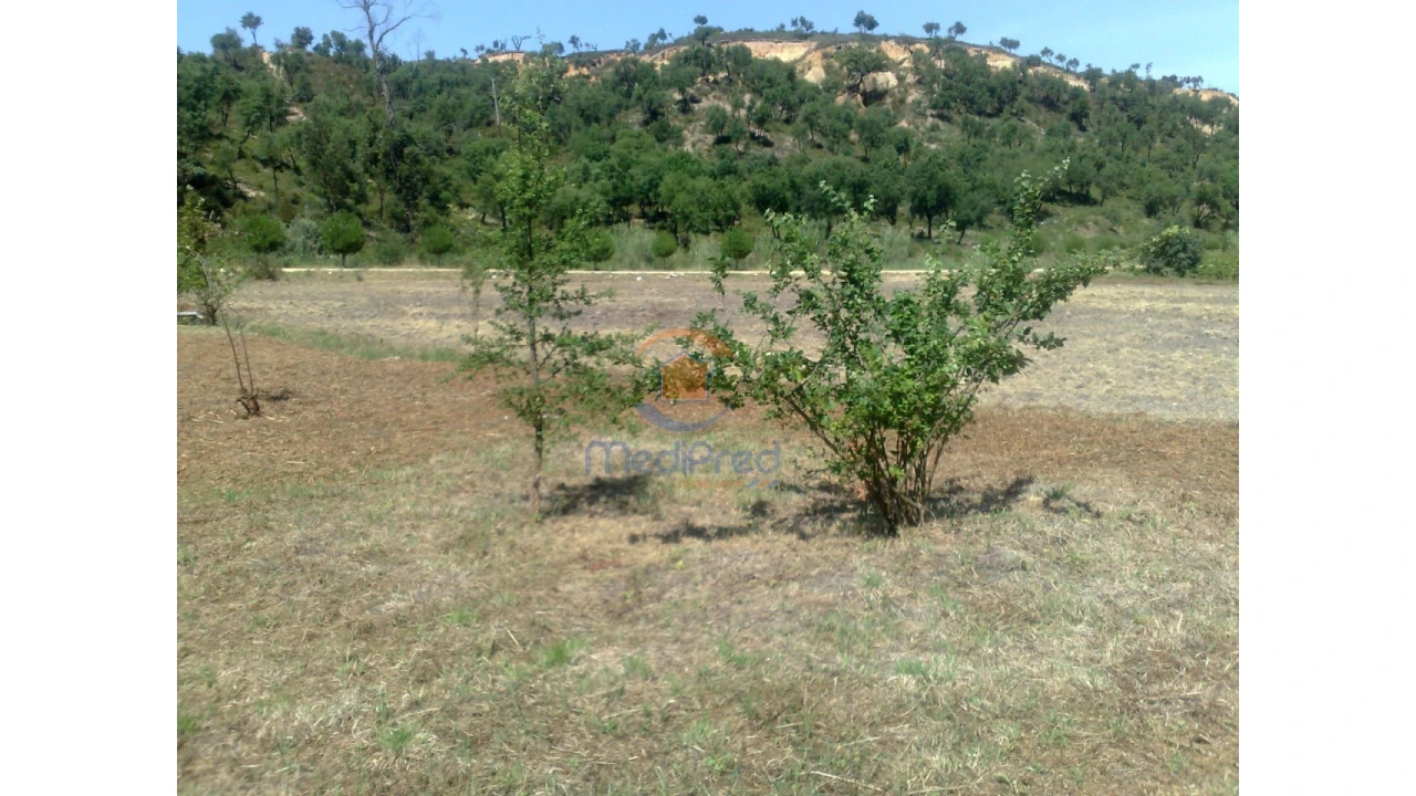 Terreno para Venda em Chamusca e Pinheiro Grande Foto 18