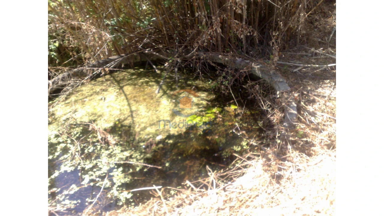 Terreno para Venda em Chamusca e Pinheiro Grande Foto 20