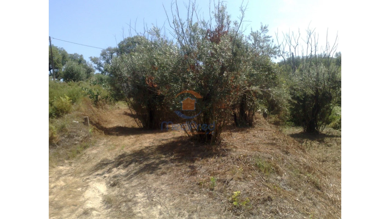 Terreno para Venda em Chamusca e Pinheiro Grande Foto 22