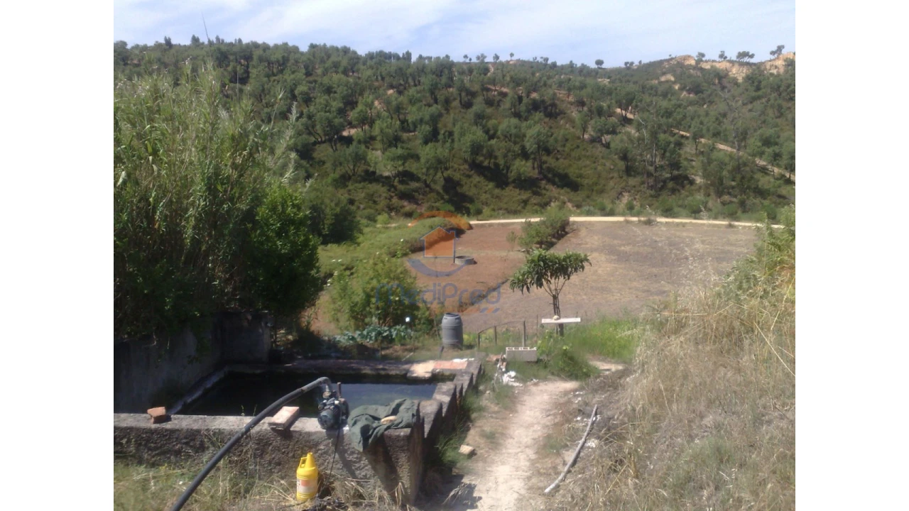 Terreno para Venda em Chamusca e Pinheiro Grande Foto 23