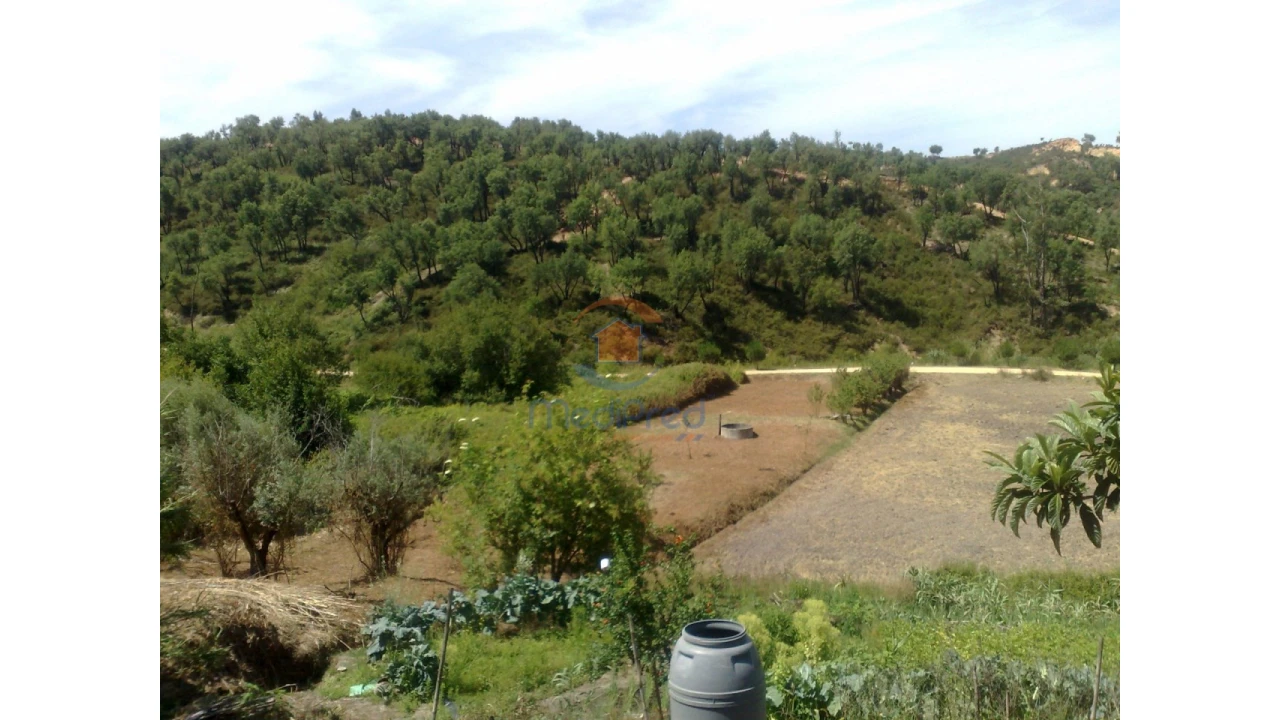 Terreno para Venda em Chamusca e Pinheiro Grande Foto 24