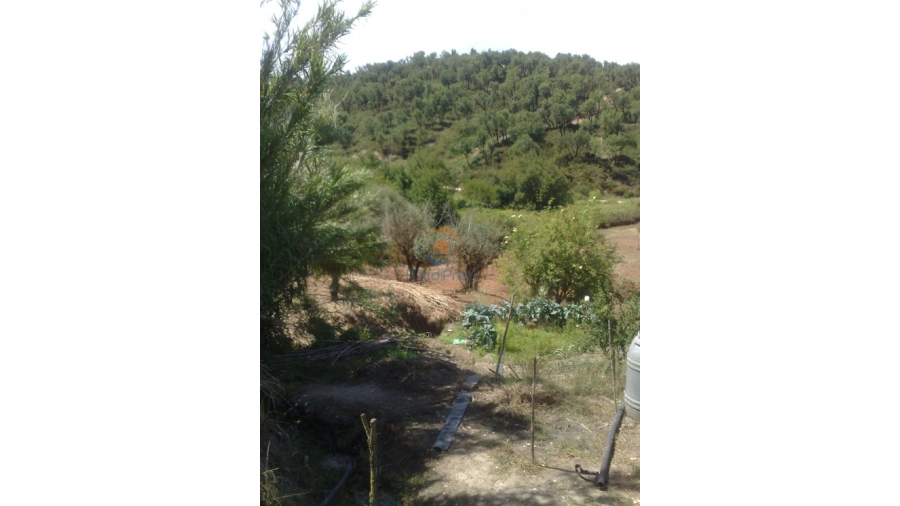 Terreno para Venda em Chamusca e Pinheiro Grande Foto 26