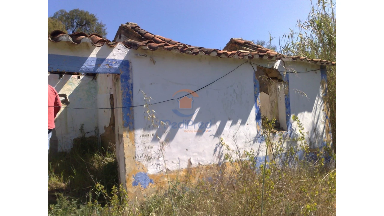 Terreno para Venda em Chamusca e Pinheiro Grande Foto 28