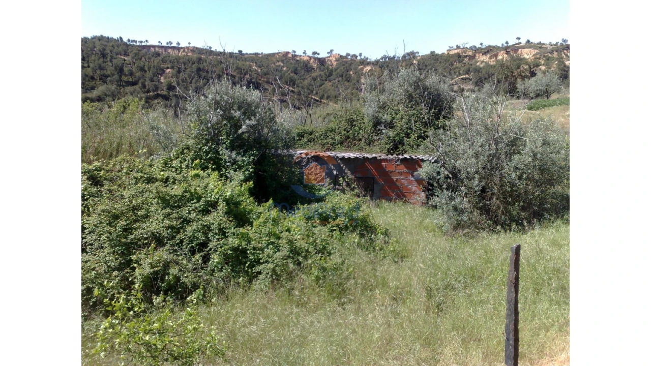 Terreno para Venda em Chamusca e Pinheiro Grande Foto 32