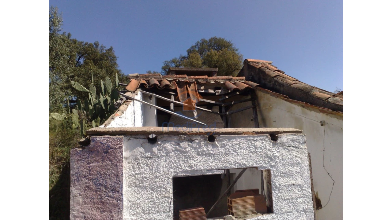 Terreno para Venda em Chamusca e Pinheiro Grande Foto 33