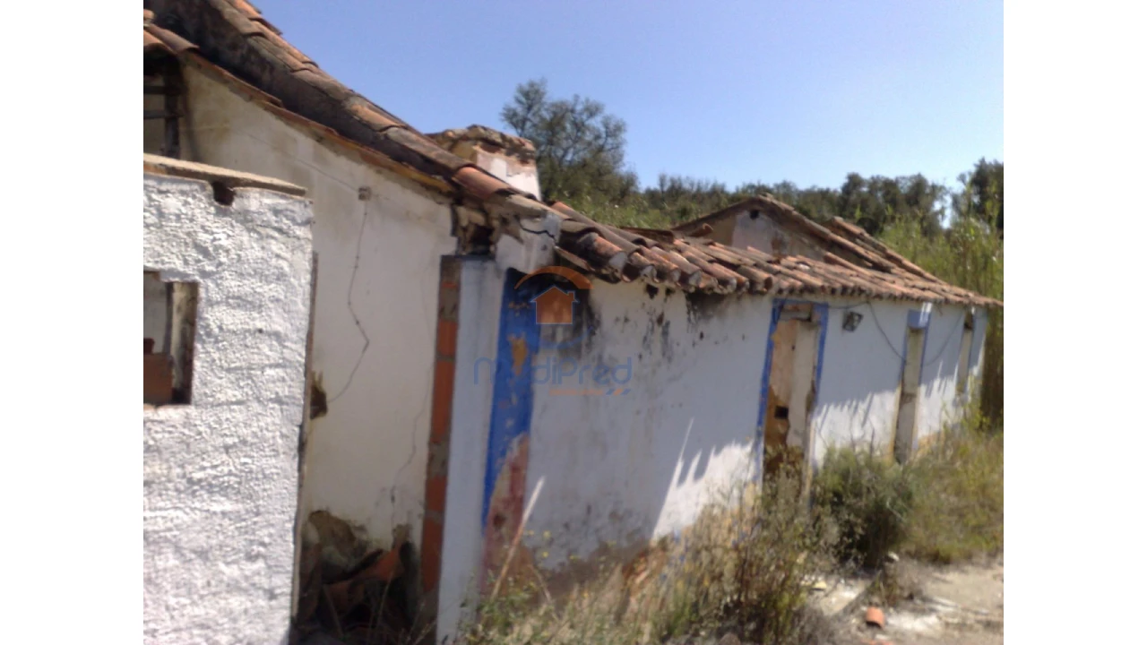 Terreno para Venda em Chamusca e Pinheiro Grande Foto 34