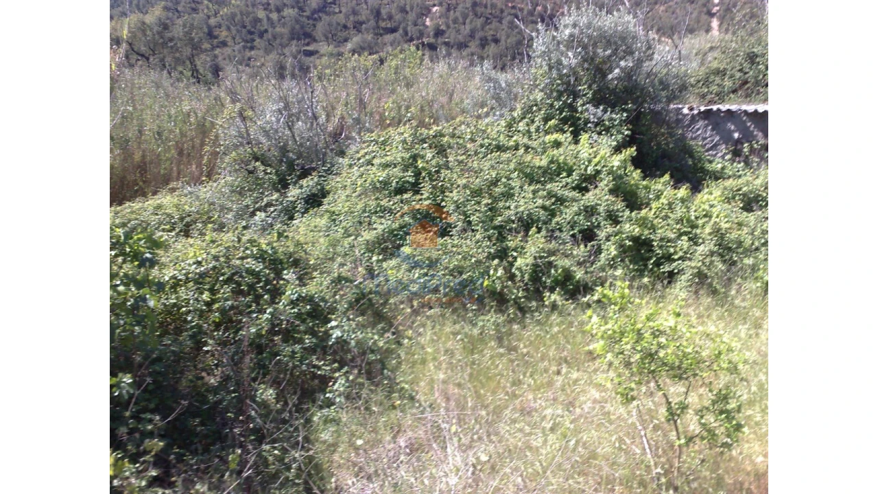 Terreno para Venda em Chamusca e Pinheiro Grande Foto 35