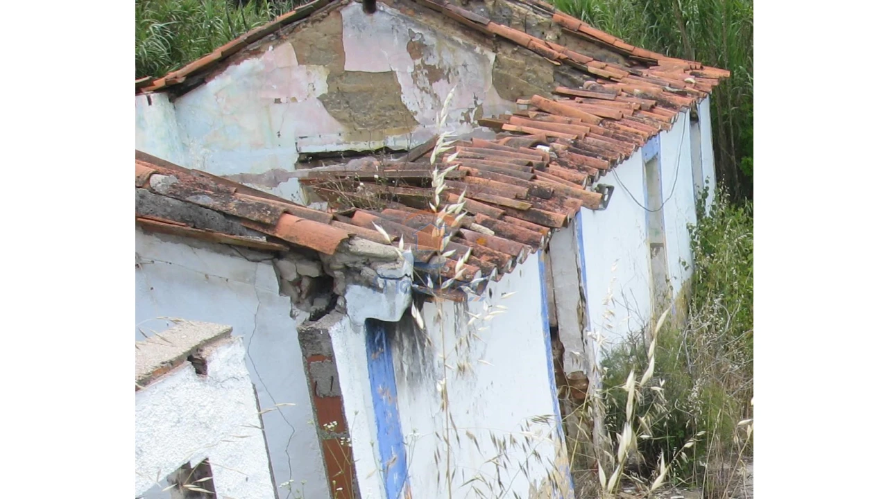 Terreno para Venda em Chamusca e Pinheiro Grande Foto 41
