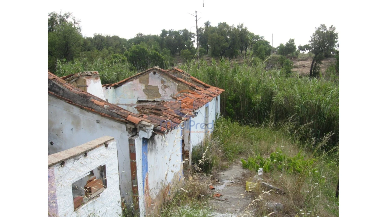 Terreno para Venda em Chamusca e Pinheiro Grande Foto 44