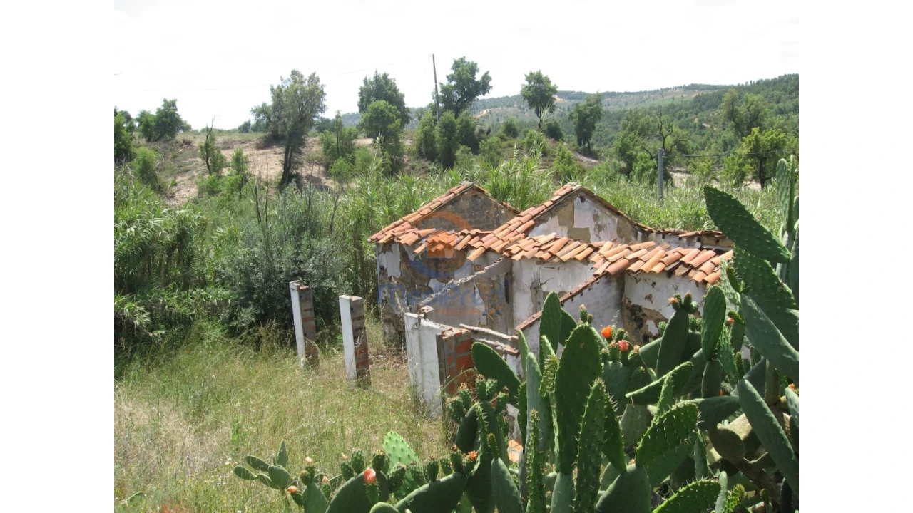Terreno para Venda em Chamusca e Pinheiro Grande Foto 46