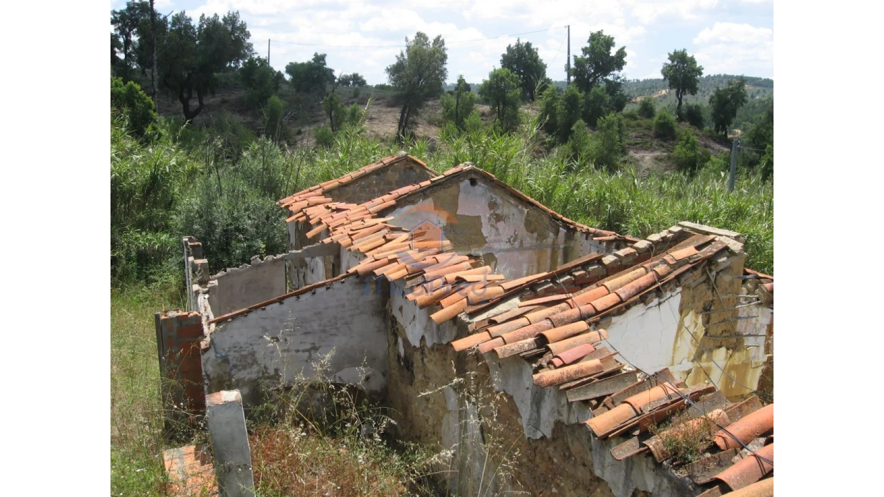 Terreno para Venda em Chamusca e Pinheiro Grande Foto 47