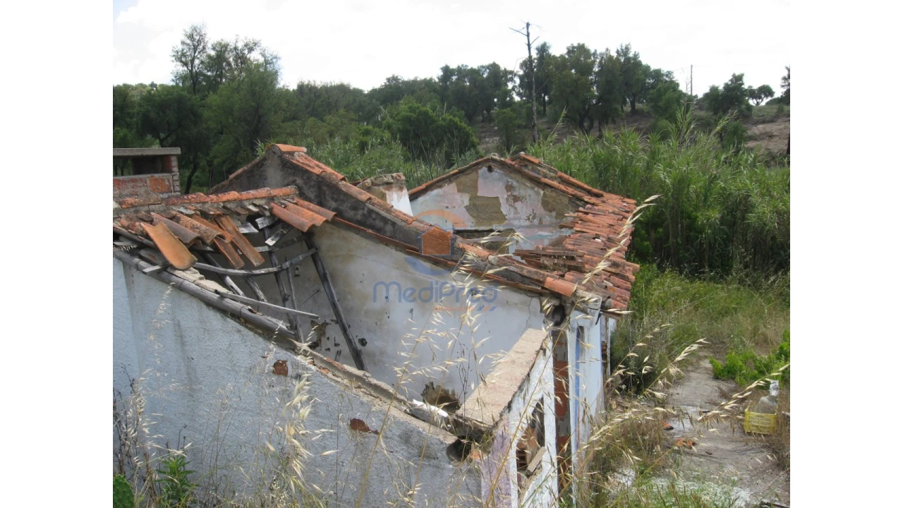 Terreno para Venda em Chamusca e Pinheiro Grande Foto 48