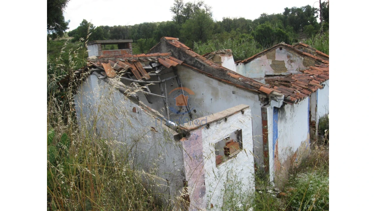 Terreno para Venda em Chamusca e Pinheiro Grande Foto 49