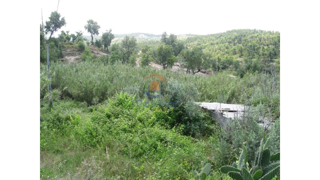 Terreno para Venda em Chamusca e Pinheiro Grande Foto 51