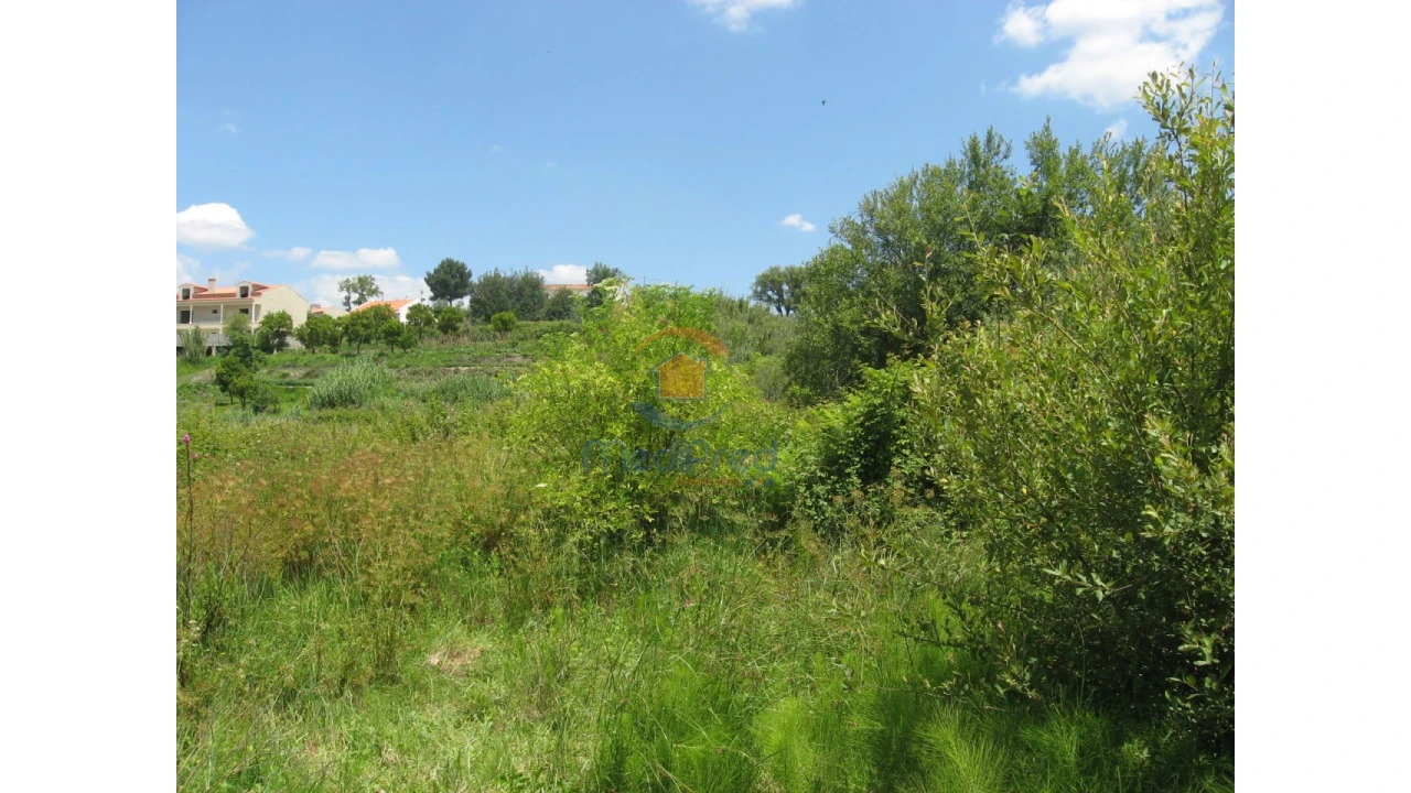 Terreno para Venda em Chamusca e Pinheiro Grande Foto 60