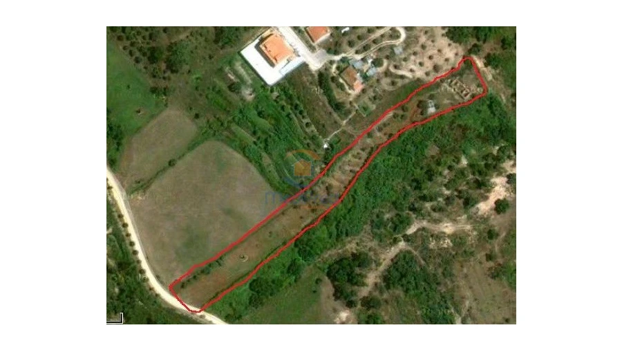 Terreno para Venda em Chamusca e Pinheiro Grande Foto 1