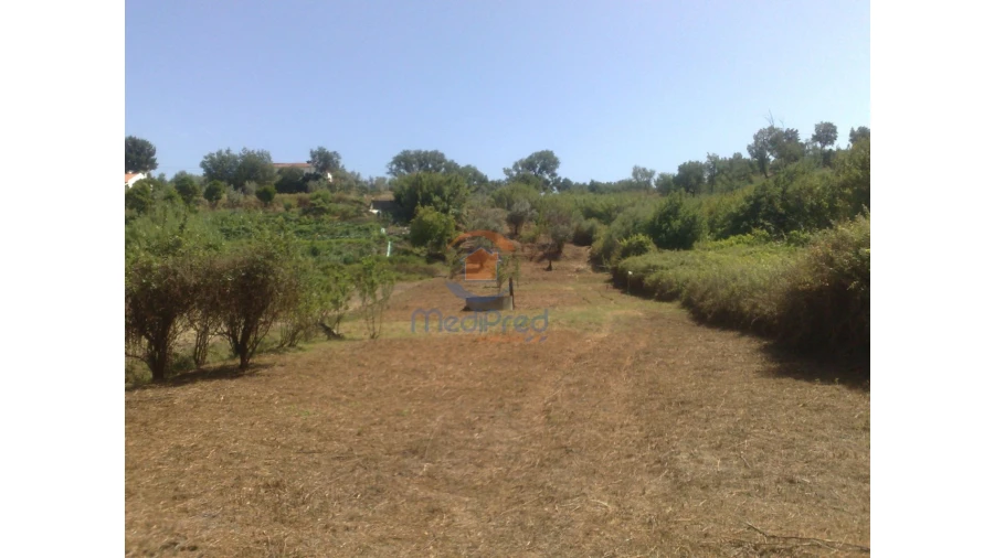 Terreno para Venda em Chamusca e Pinheiro Grande Foto 5