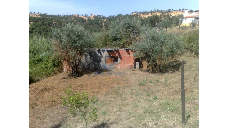 Terreno para Venda em Chamusca e Pinheiro Grande Foto 6