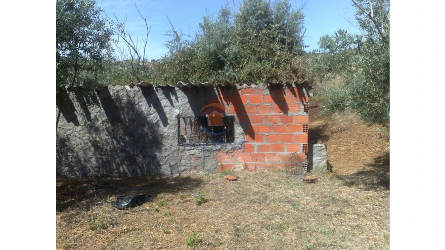 Terreno para Venda em Chamusca e Pinheiro Grande Foto 7
