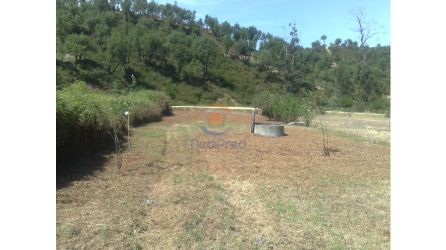 Terreno para Venda em Chamusca e Pinheiro Grande Foto 17