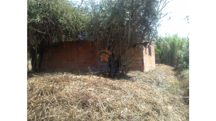 Terreno para Venda em Chamusca e Pinheiro Grande Foto 21