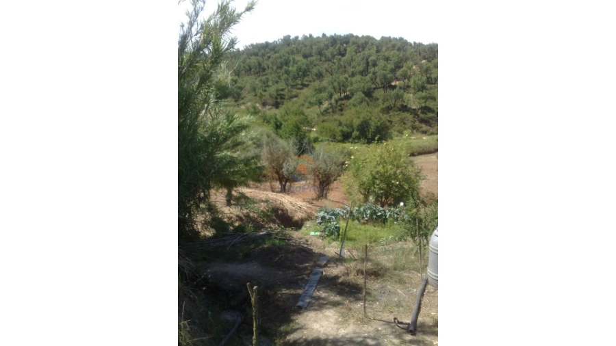 Terreno para Venda em Chamusca e Pinheiro Grande Foto 26