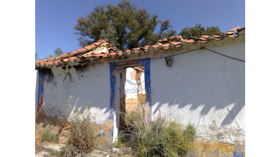 Terreno para Venda em Chamusca e Pinheiro Grande Foto 27