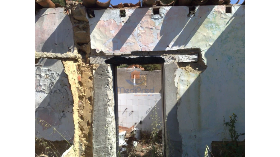 Terreno para Venda em Chamusca e Pinheiro Grande Foto 30