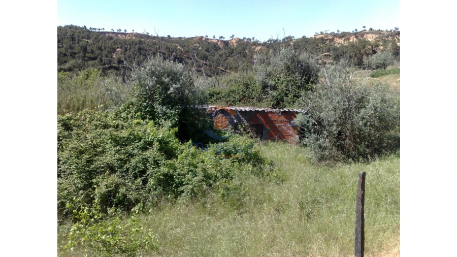 Terreno para Venda em Chamusca e Pinheiro Grande Foto 32