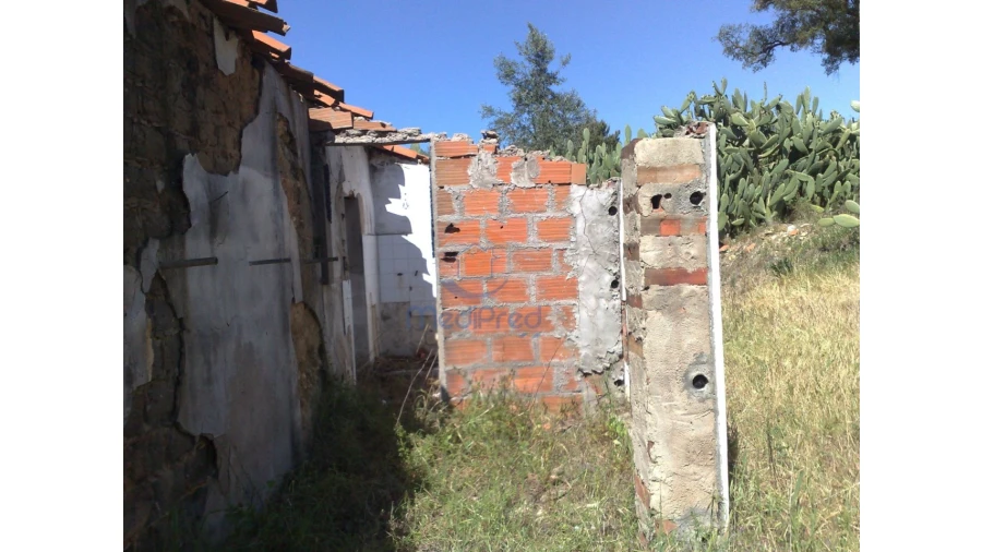 Terreno para Venda em Chamusca e Pinheiro Grande Foto 37