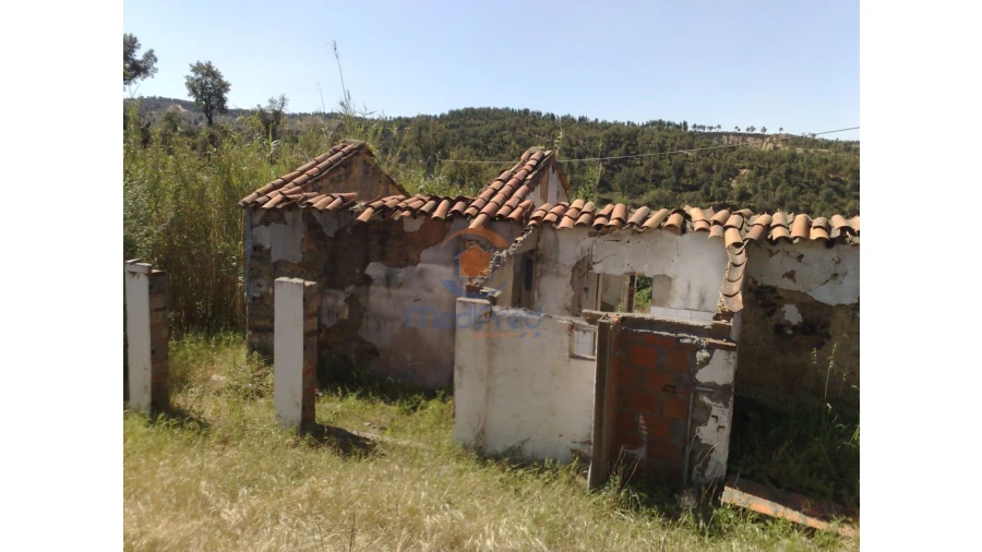 Terreno para Venda em Chamusca e Pinheiro Grande Foto 38