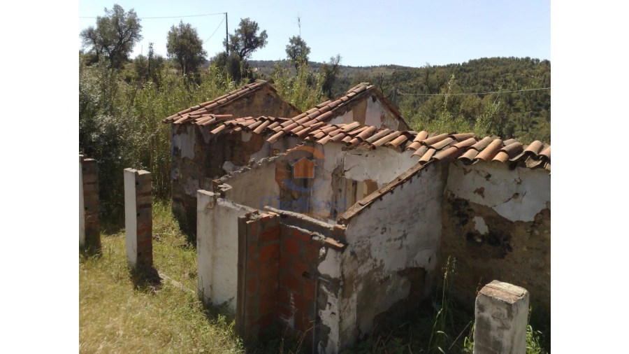 Terreno para Venda em Chamusca e Pinheiro Grande Foto 39