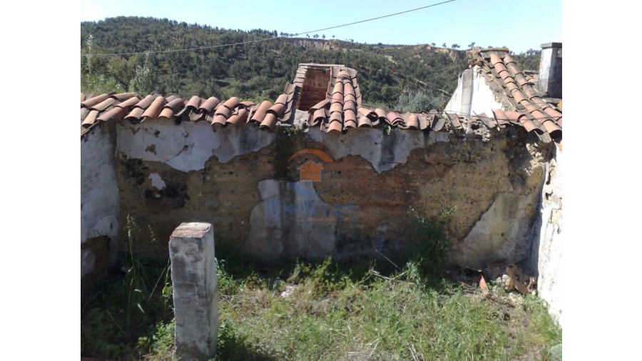 Terreno para Venda em Chamusca e Pinheiro Grande Foto 40