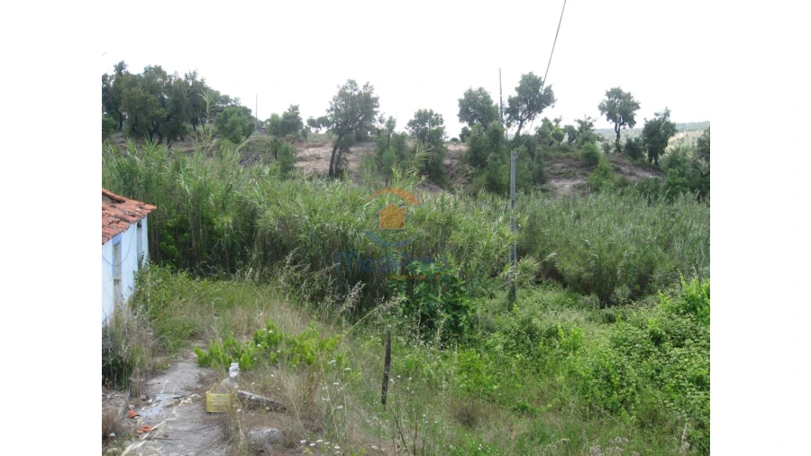 Terreno para Venda em Chamusca e Pinheiro Grande Foto 52