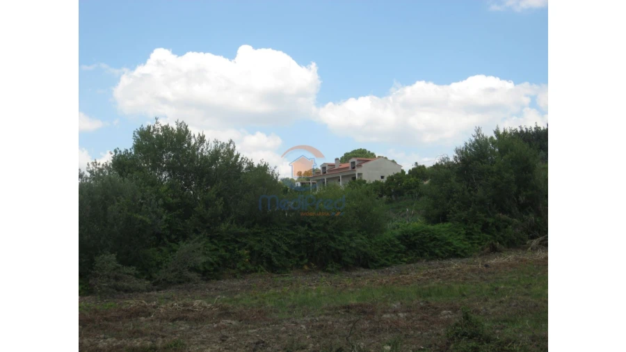 Terreno para Venda em Chamusca e Pinheiro Grande Foto 56